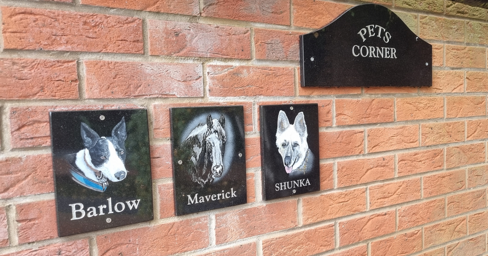 Our New Pets Corner