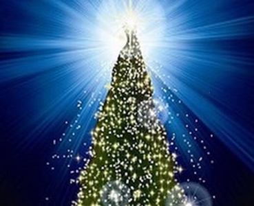 2018 Charity Christmas Trees