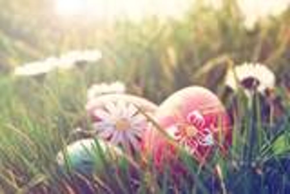 Thoughts for Easter